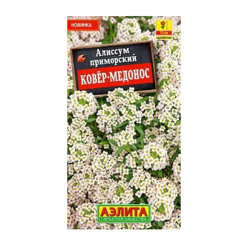 Алиссум Ковер-медонос 0_05-0_1гр _10