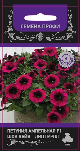 Петуния Шок Вейв Дип Парпл F1 ампельная  5шт_10