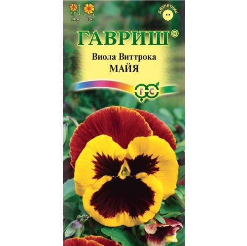 Виола Виттрока Майя  0_05гр_10