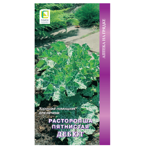 Расторопша пятнистая Дебют_Аптека на грядке  0_5гр_10