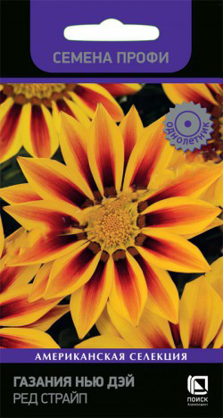 Газания (Гацания) Нью Дэй Ред Страйп  10шт_10