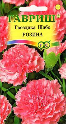 Гвоздика Шабо Розина  0_05гр_10