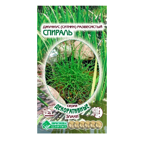 Джункус (ситник) Спираль 5шт _10