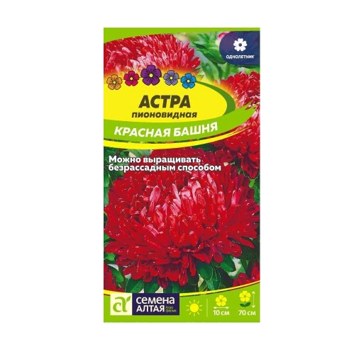 Астра пионовидная Красная башня  0_2гр_10
