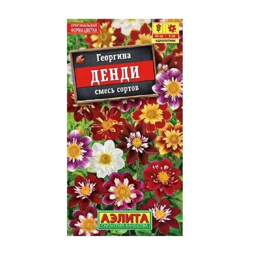 Георгина Денди 0_3гр  _10