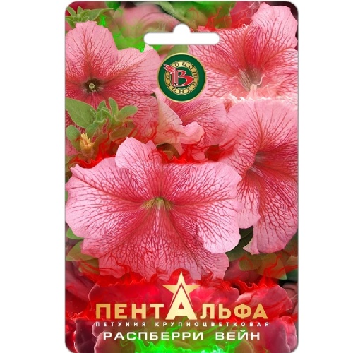 Петуния Пентальфа F1 Распберри Вейн _5