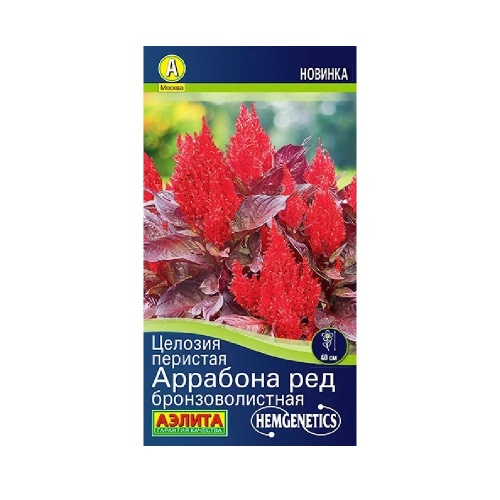 Целозия перистая Аррабона ред бронзоволистная 7шт _10