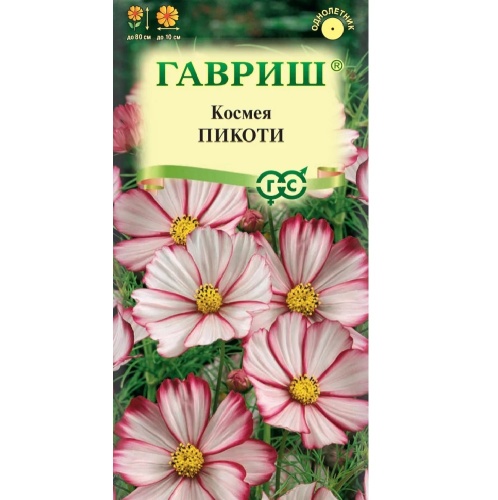 Космея Пикоти  0_3гр_10