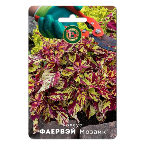 Колеус Файервей Мозаик 10шт_5_10