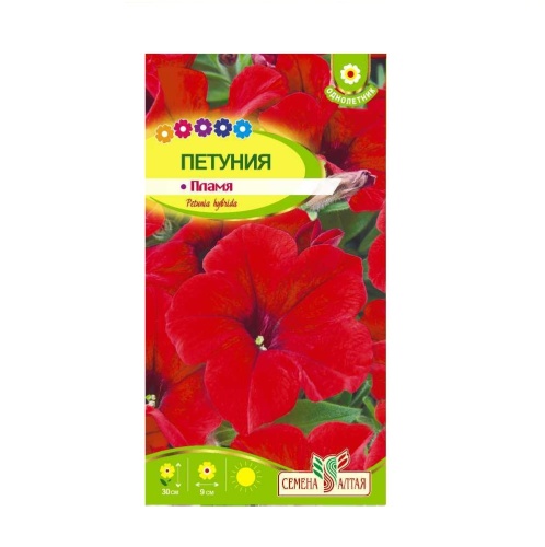 Петуния Пламя  0_1гр_10