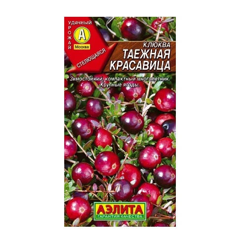 Клюква крупноплодная Таежная красавица  0_02гр_10