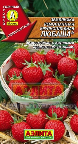 Земляника Любаша 10шт  _10