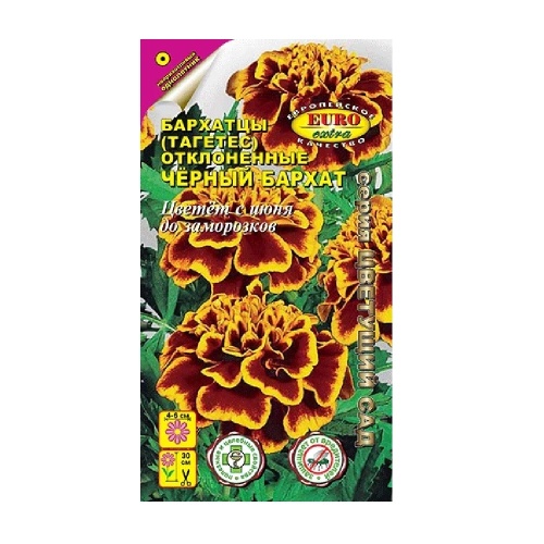 Бархатцы Черный бархат отклоненные 0_1 гр  _10