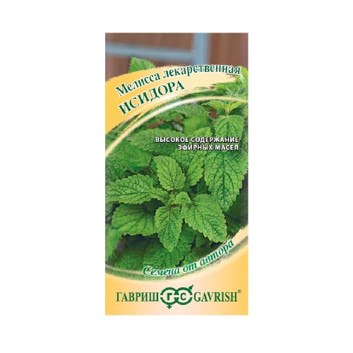 Мелисса лекарственная Исидора  0_1гр_10