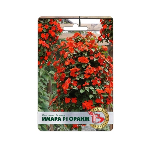 Импатиенс Валлера Имара F1 Оранж  8шт_5_10