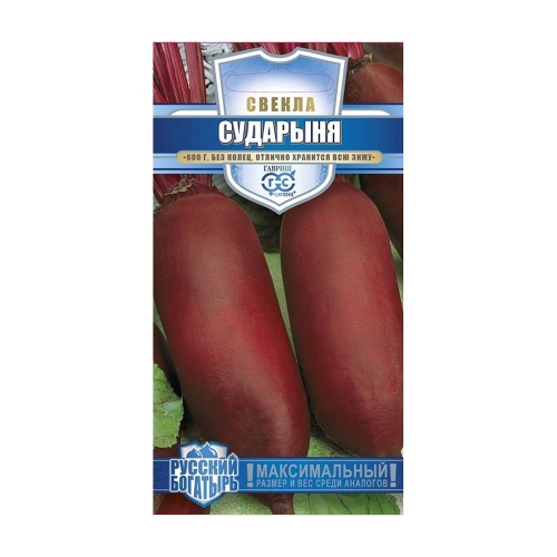 Свекла Сударыня_Русский богатырь  2гр_10