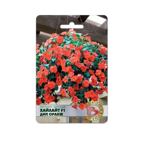 Импатиенс Хайлайт F1 Дип Оранж ампельный  10шт_5_10