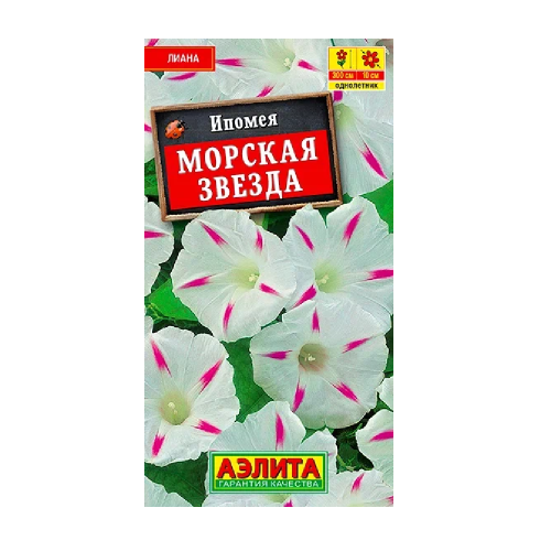 Ипомея Морская звезда 0_5гр  _10