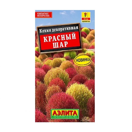 Кохия Красный шар 0_1гр_10