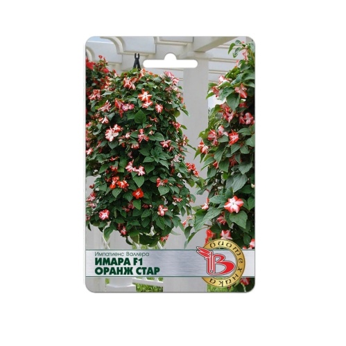Импатиенс Валлера Имара F1 Оранж Стар  8шт_5_10