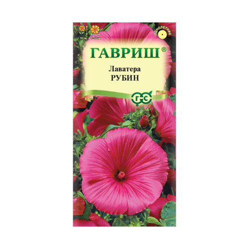 Лаватера Рубин  0_3гр_10