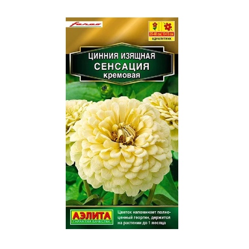 Цинния Сенсация кремовая 12шт_10
