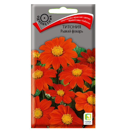 Титония Рыжий фонарь  0_3гр_10