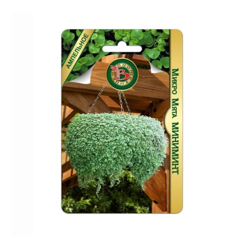 Микро Мята Миниминт  5шт_5