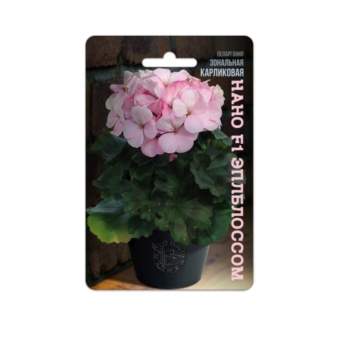 Пеларгония Нано F1 Эплблоссом  5шт_5_10