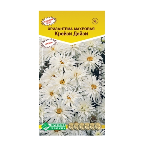 Хризантема Крейзи Дейзи 20шт_10