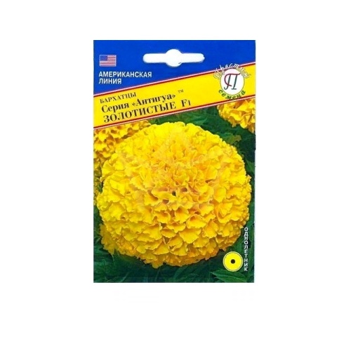 Бархатцы Антигуа Золотистые прямостоячие F1  5шт_10_50
