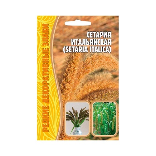 Сетария Итальянская  0_1гр_10