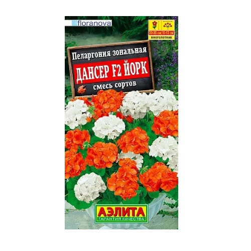 Пеларгония Дансер F2 Йорк смесь окрасок 5шт  _10