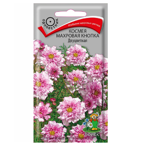 Космея Махровая кнопка Двуцветная  0_1гр_10