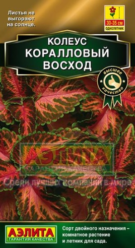 Колеус Блюме Коралловый восход  5шт_10