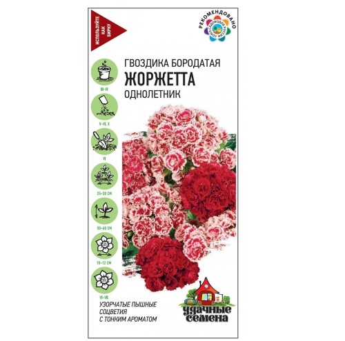 Гвоздика бородатая (турецкая) Жоржетта_Удачные семена  0_1гр_10