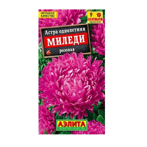 Астра Миледи розовая  0_2гр_10