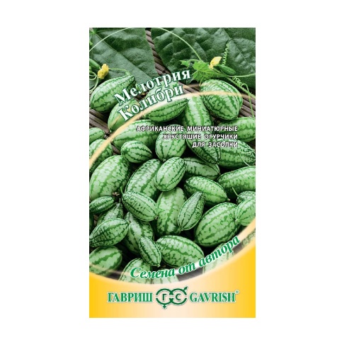 Мелотрия Колибри (мини-арбуз)  20шт_10