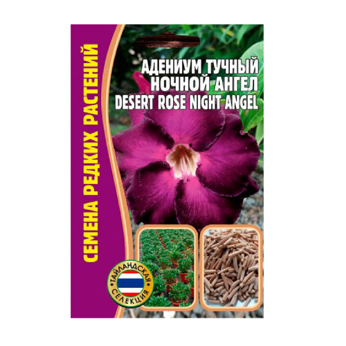 Адениум Ночной Ангел тучный  3 шт_ 5