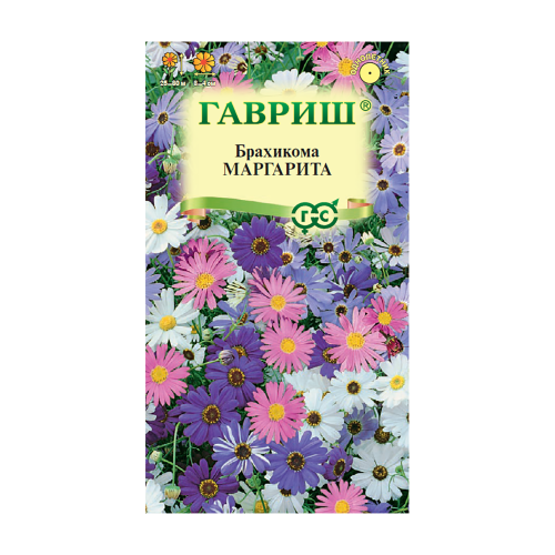 Брахикома Иберисолистная Маргарита  0_02гр_10