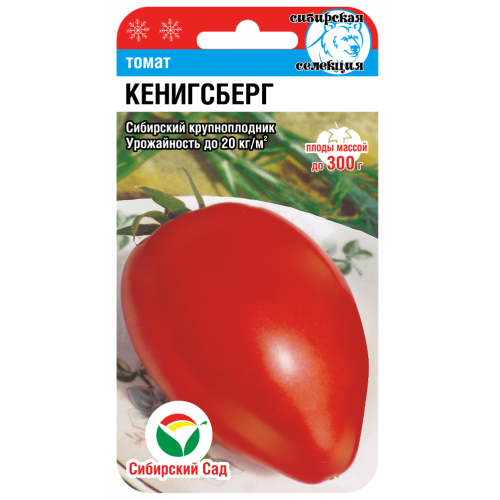 Томат Кенигсберг  20шт_10