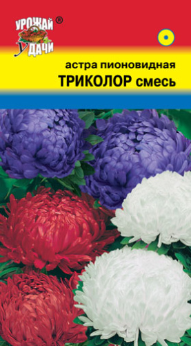 Астра Триколор  0_2гр_0_3гр_10