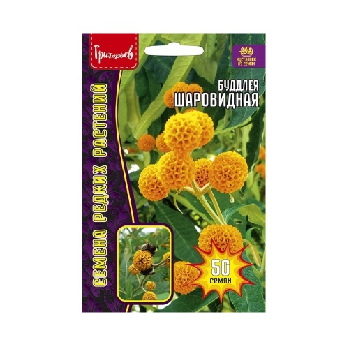 Буддлея Шаровидная 50шт_10