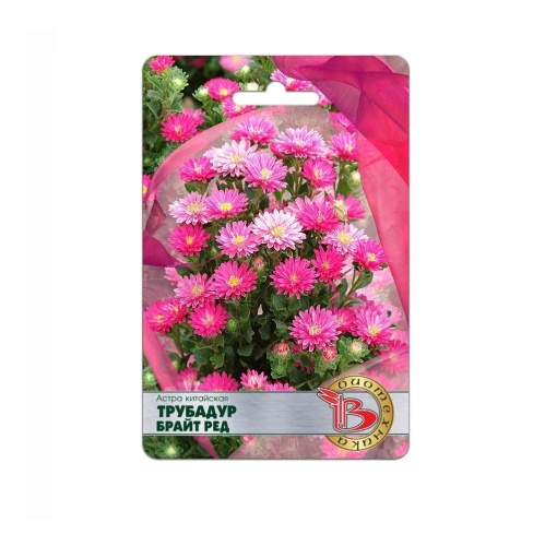 Астра Трубадур Брайт Ред китайская  20шт_5