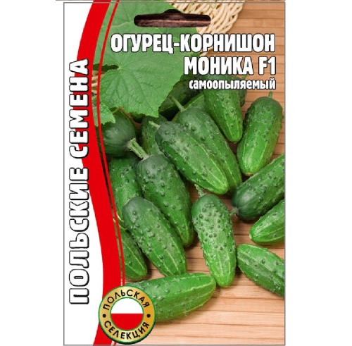 Огурец Моника  15шт_10
