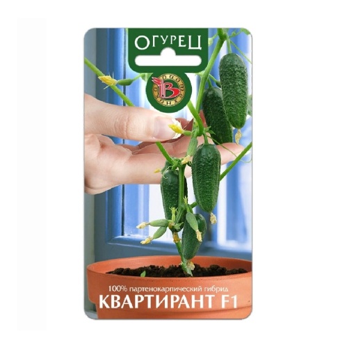 Огурец Квартирант F1  8шт_5