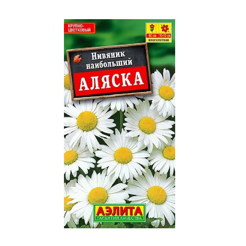 Нивяник Аляска наибольший  0_5гр_10