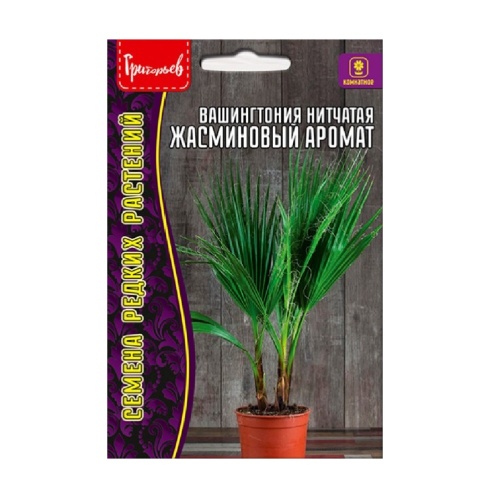 Вашингтония нитчатая Жасминовый Аромат 5шт _10