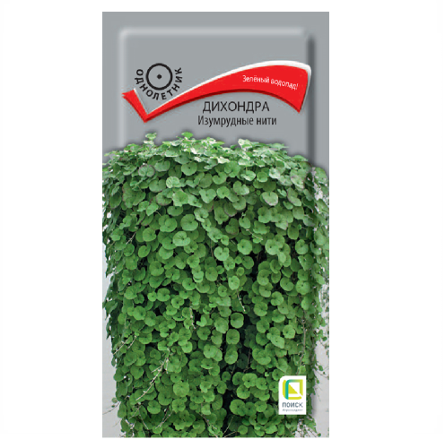 Дихондра Изумрудные нити 5шт_10