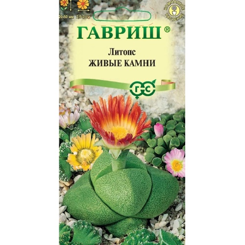 Литопс Живые Камни 5шт  _10